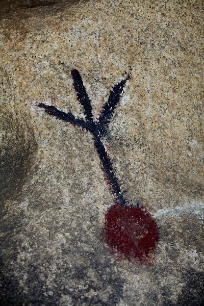 Indian Petroglyphs of North America by Unknown